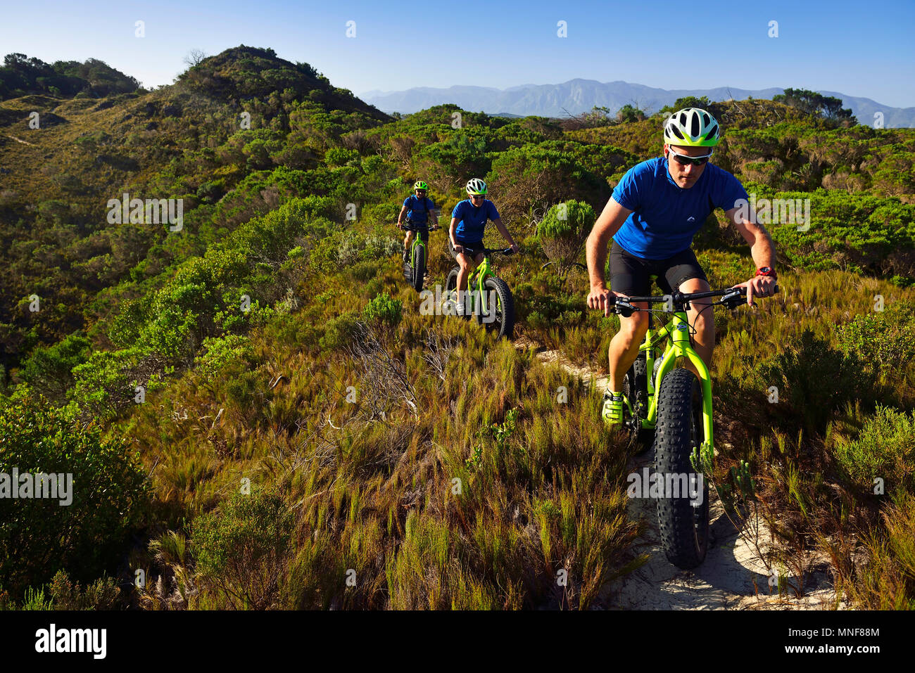 Gli amanti della mountain bike guida su moto di grasso attraverso le boccole, ciclismo, riserva, De Kelders, Gansbaai, Western Cape, Sud Africa Foto Stock