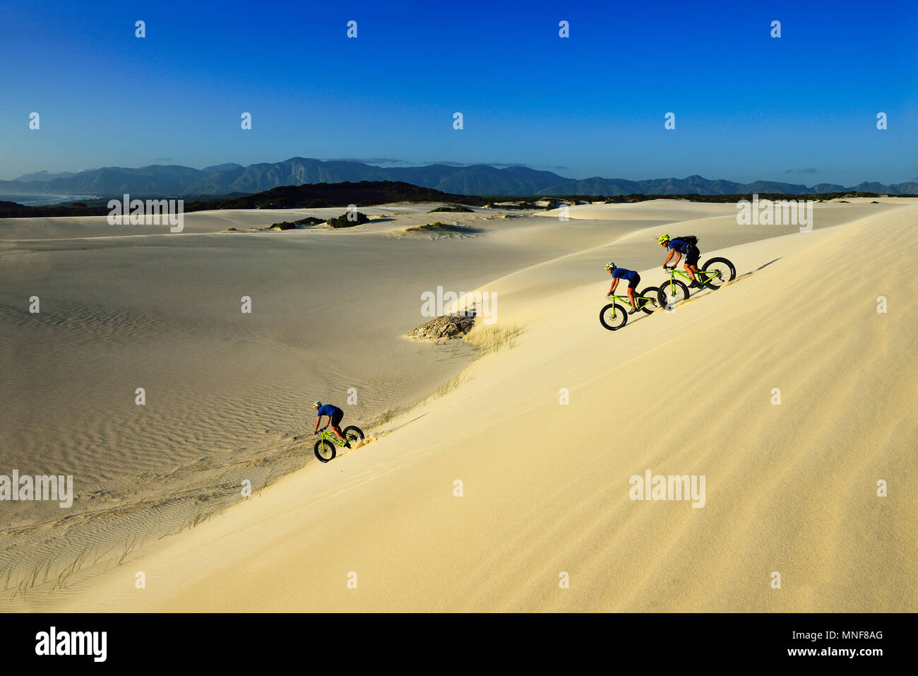 Gli amanti della mountain bike con grasso di moto discendente dune di sabbia, ciclismo, riserva, De Kelders, Gansbaai, Western Cape, Sud Africa Foto Stock