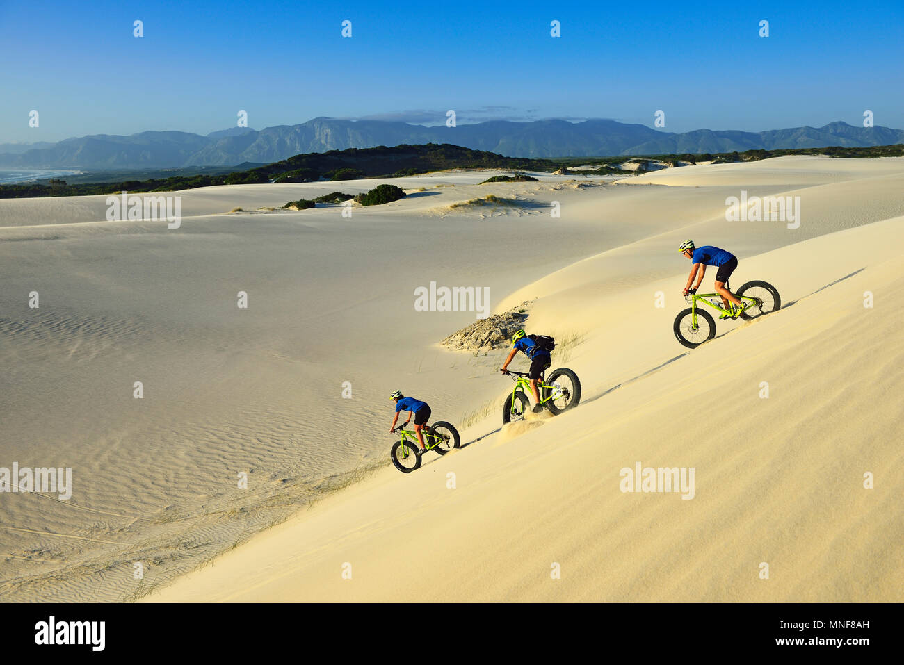 Gli amanti della mountain bike con grasso di moto discendente dune di sabbia, ciclismo, Plaat Beach, riserva, De Kelders, Gansbaai, Western Cape Foto Stock