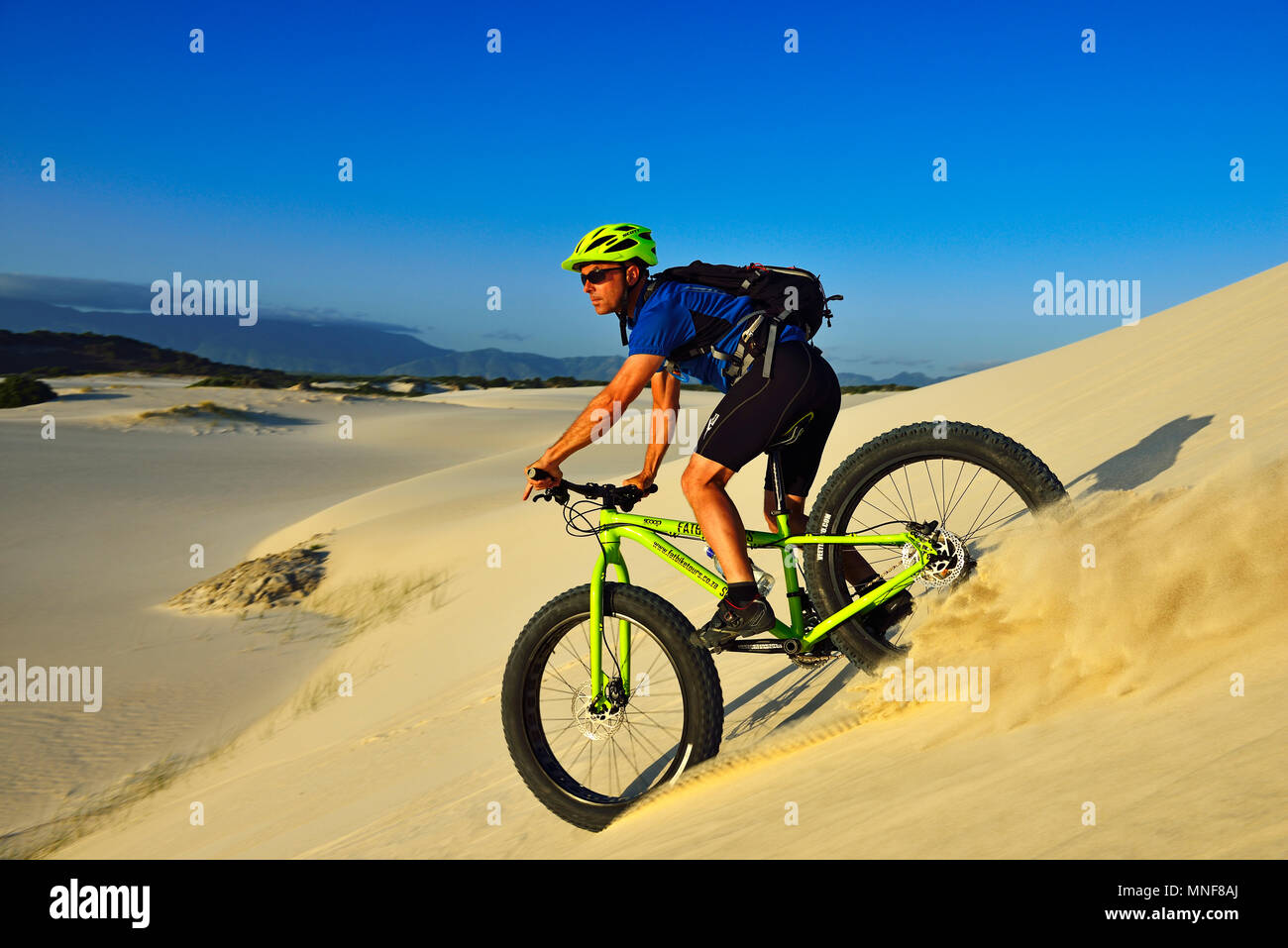 Mountainbiker sul fatbike, va giù dune, la spiaggia Plaat, riserva, De Kelders, Gansbaai, Western Cape, Sud Africa Foto Stock