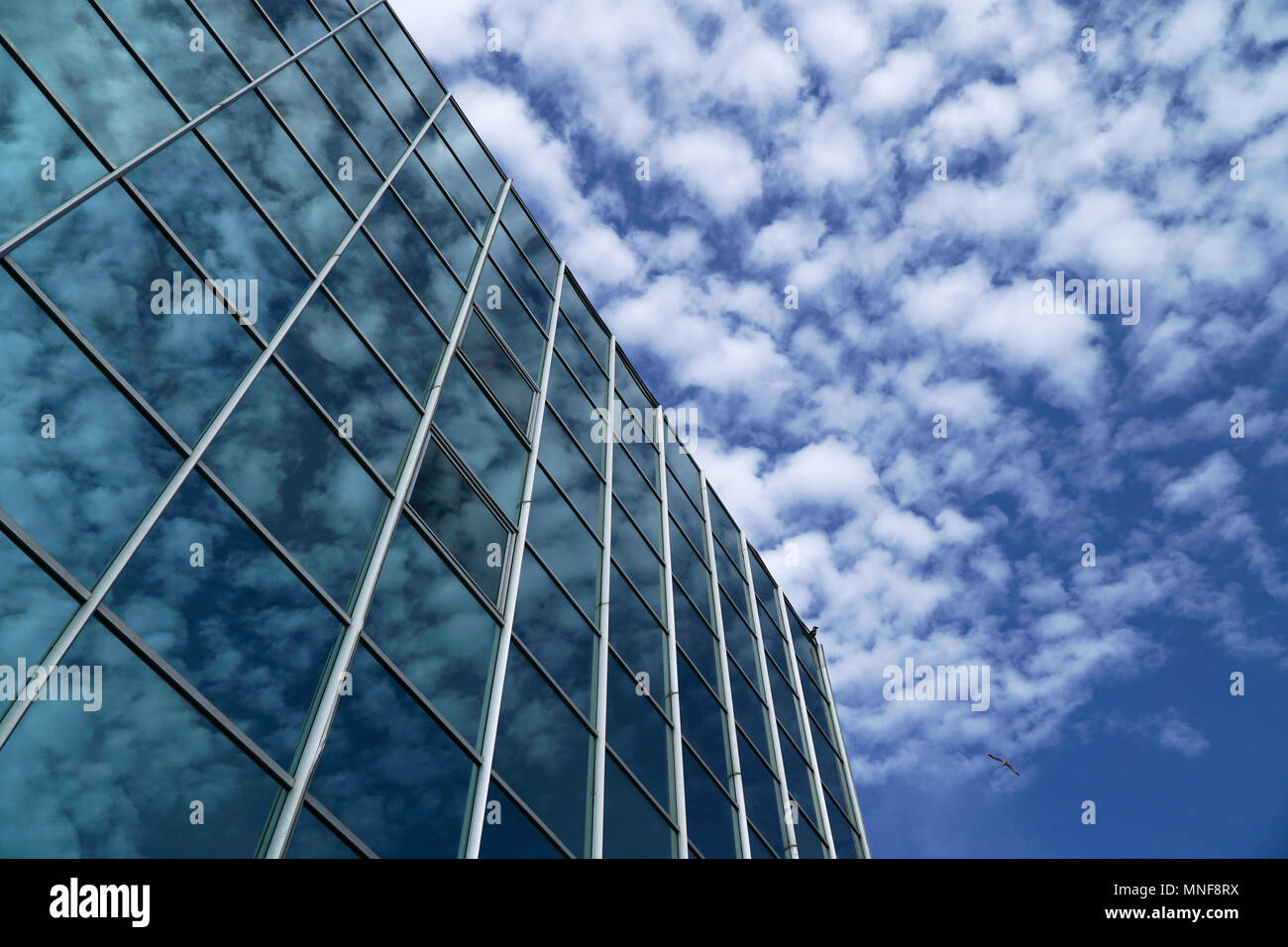 Cotone nuvole sagomate sono riflettenti su un grattacielo in vetro Foto Stock