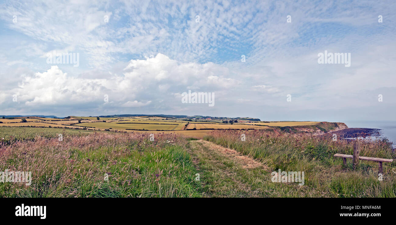 La Cleveland via via costiera in direzione nord verso il lungo Nab e in poi, vicino a Crook Ness sulla North Yorkshire costa vicino a Scarborough. Foto Stock