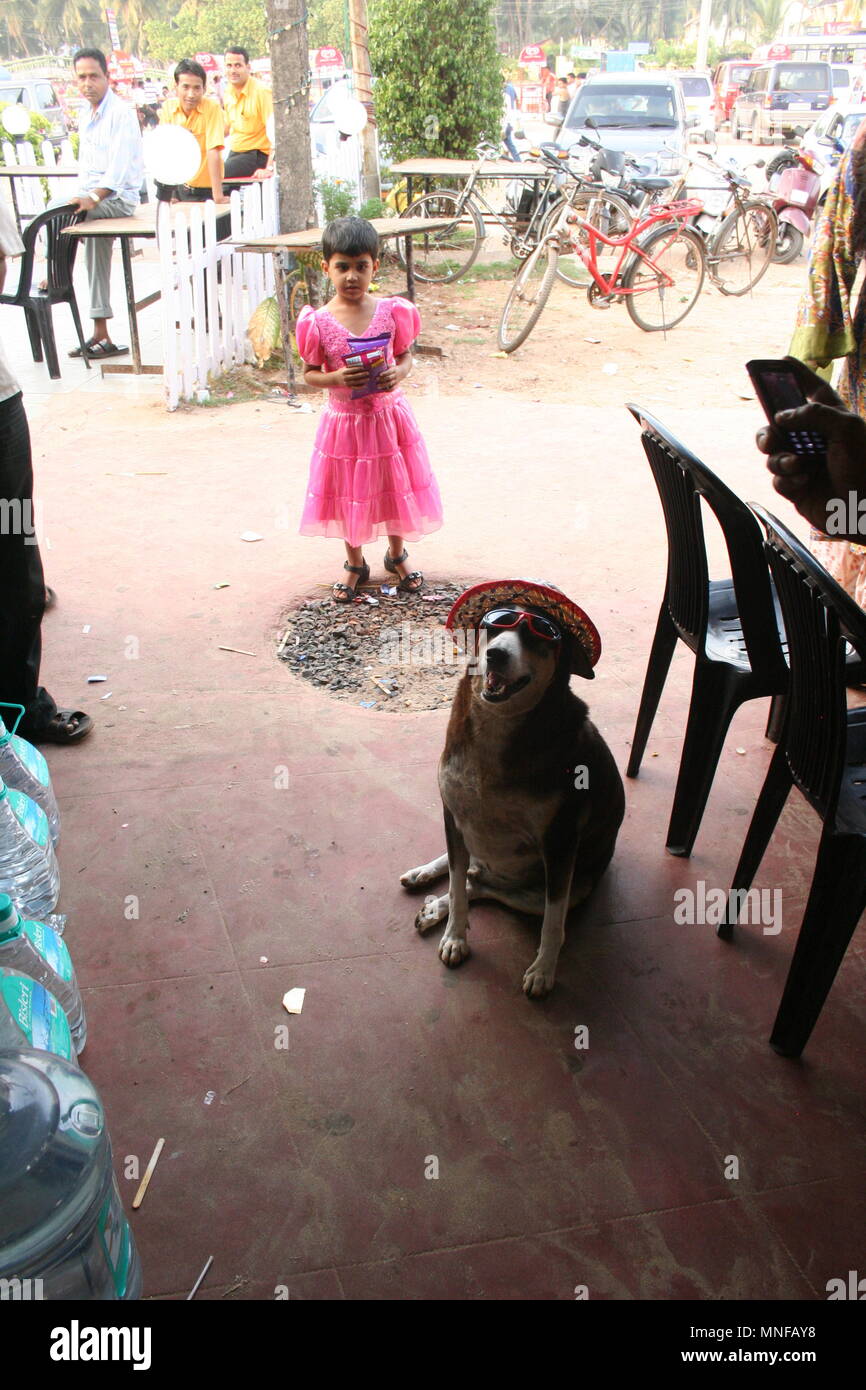 Ragazza indiana in rosa luminoso abito e cane che indossa un cappello e occhiali, Goa, India Foto Stock