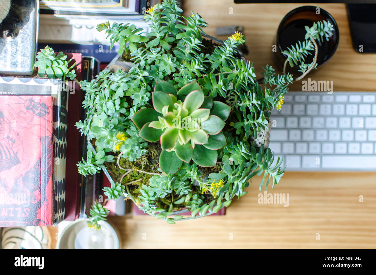 Oficce verde Foto Stock