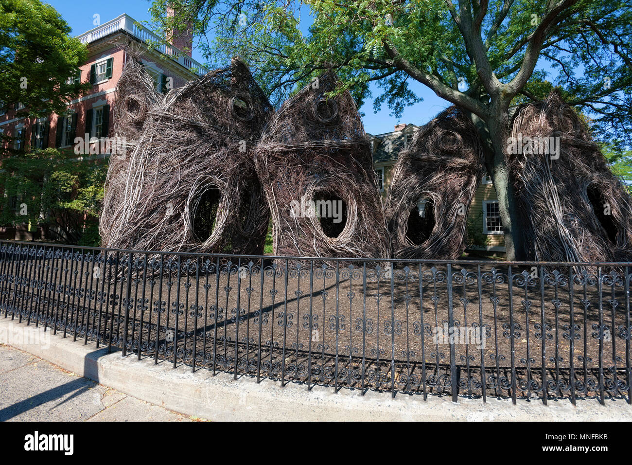 Salem, Massachusetts, STATI UNITI D'America - 14 Settembre 2016: la PEM, Peabody Essex Museum, commissionato North Carolina scultura Patrick Dougherty che con l'hôtel Foto Stock