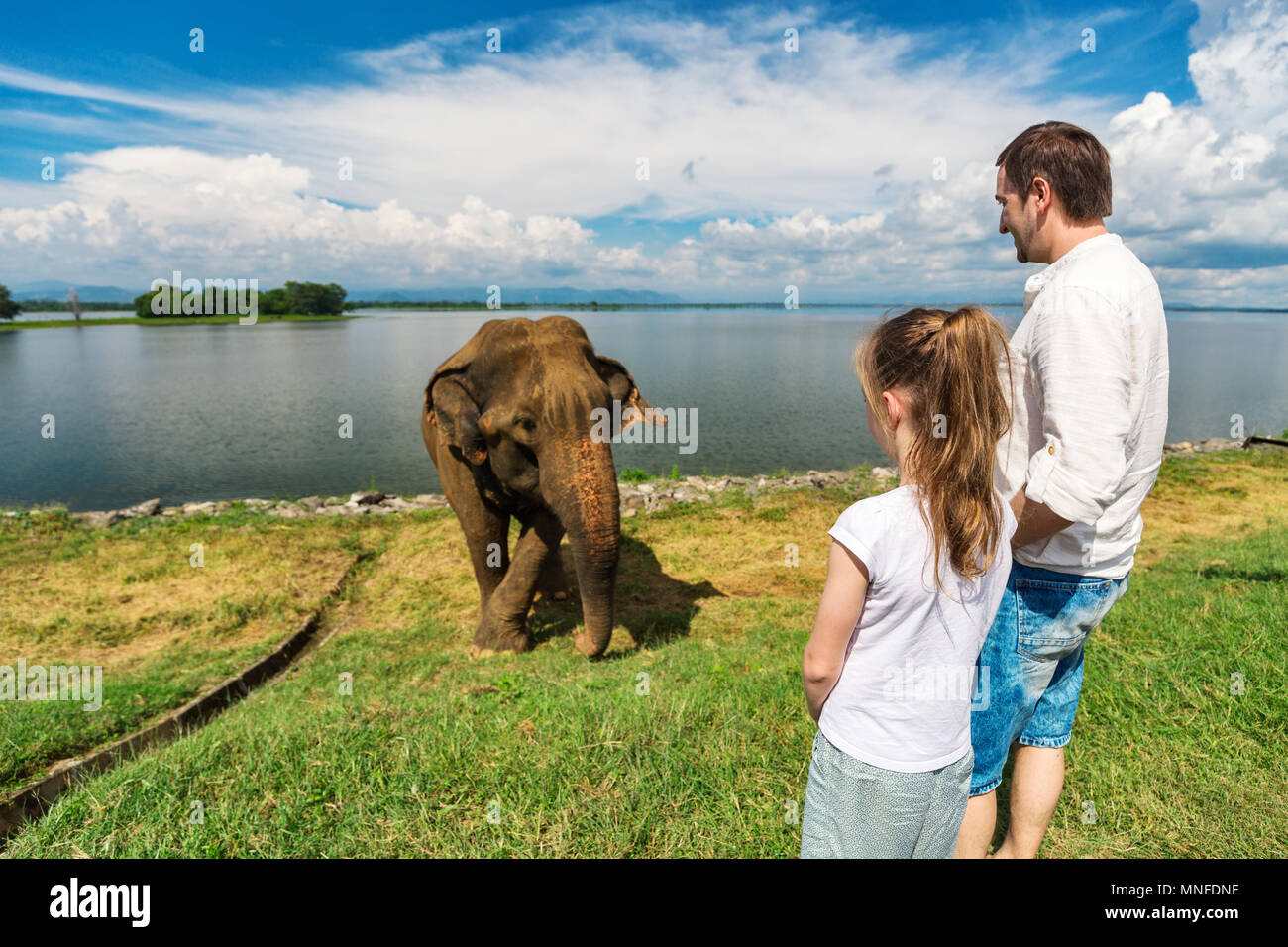 La famiglia del padre e figlia che guarda gli elefanti a Udawalawe parco nazionale in Sri Lanka Foto Stock
