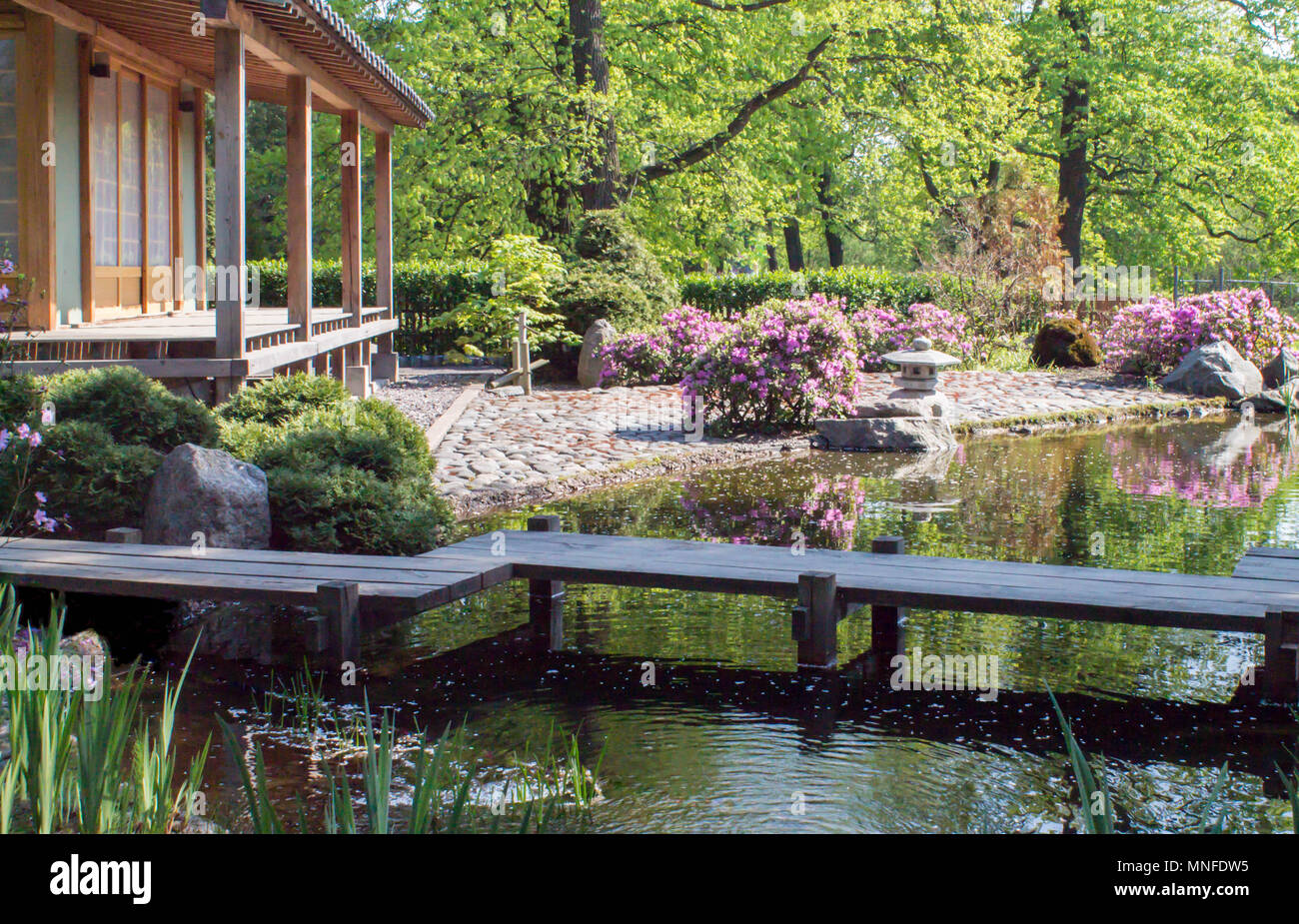 La tradizione giardino in stile Giapponese con il lago e il ponte Foto Stock