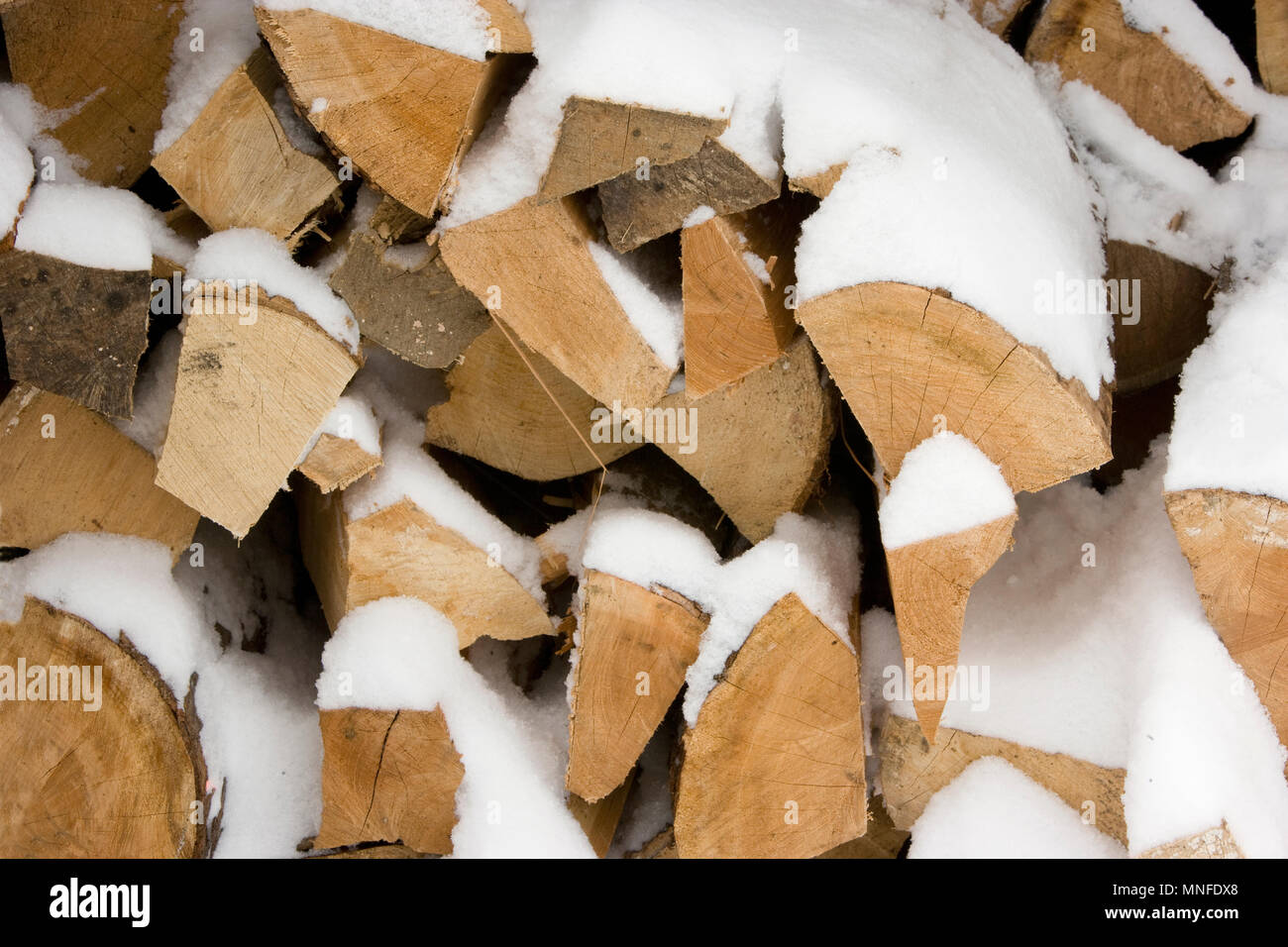 Una casa colonica del Vermont's woodpile coperto di neve appena caduta Foto Stock