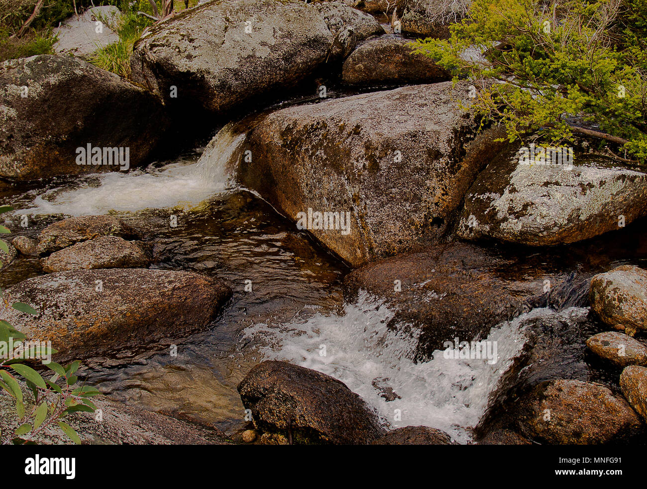 Mountain Creek, montagne innevate, NSW, Australia Foto Stock