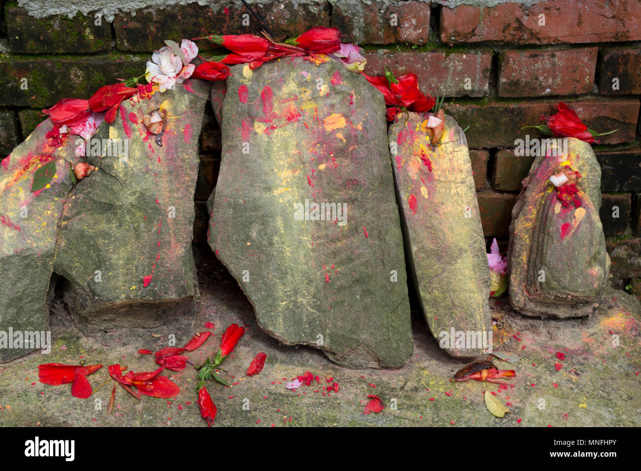 Valle di Kathmandu, Nepal. Le pietre e i fiori sulla strada Foto Stock