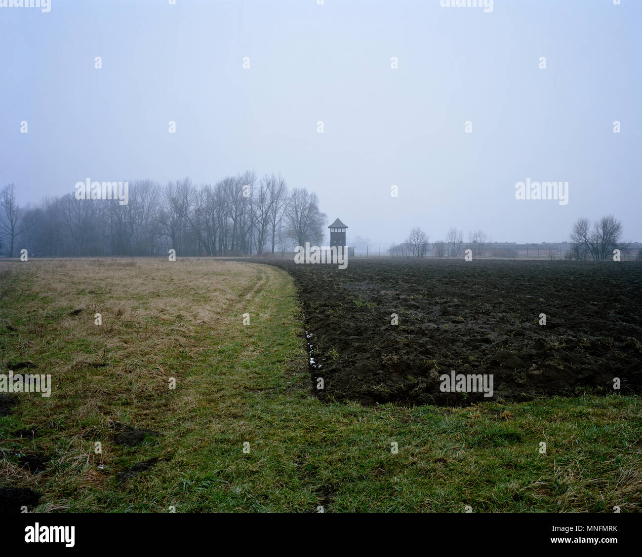 Liberato n 27 gennaio 1945. Auschwitz II-Birkenau campo di concentramento nella città del sud-ovest della Polonia. Foto Stock
