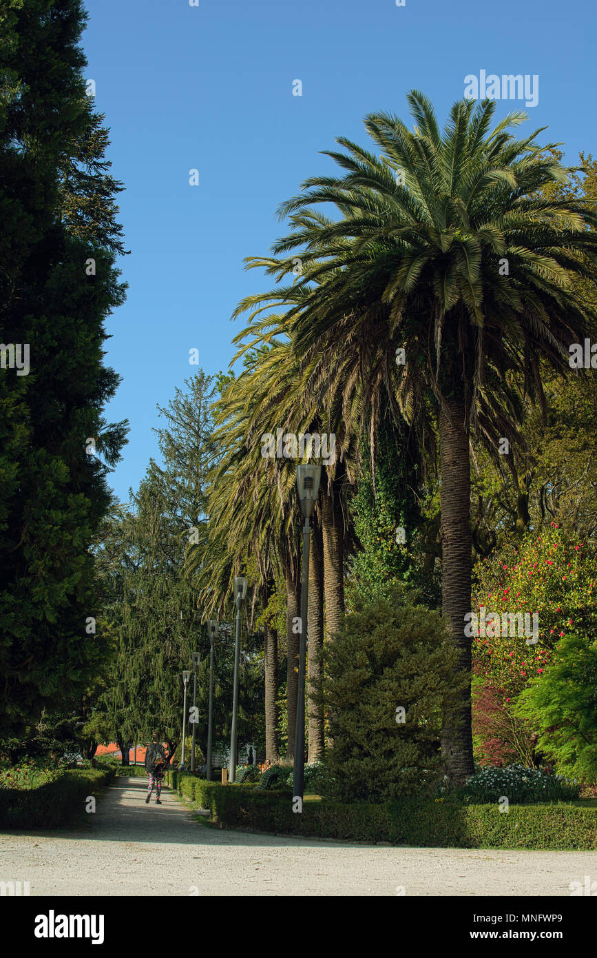 Parque de la Alameda in primavera. Santiago de Compostela, Galizia, Spagna, Europa Foto Stock