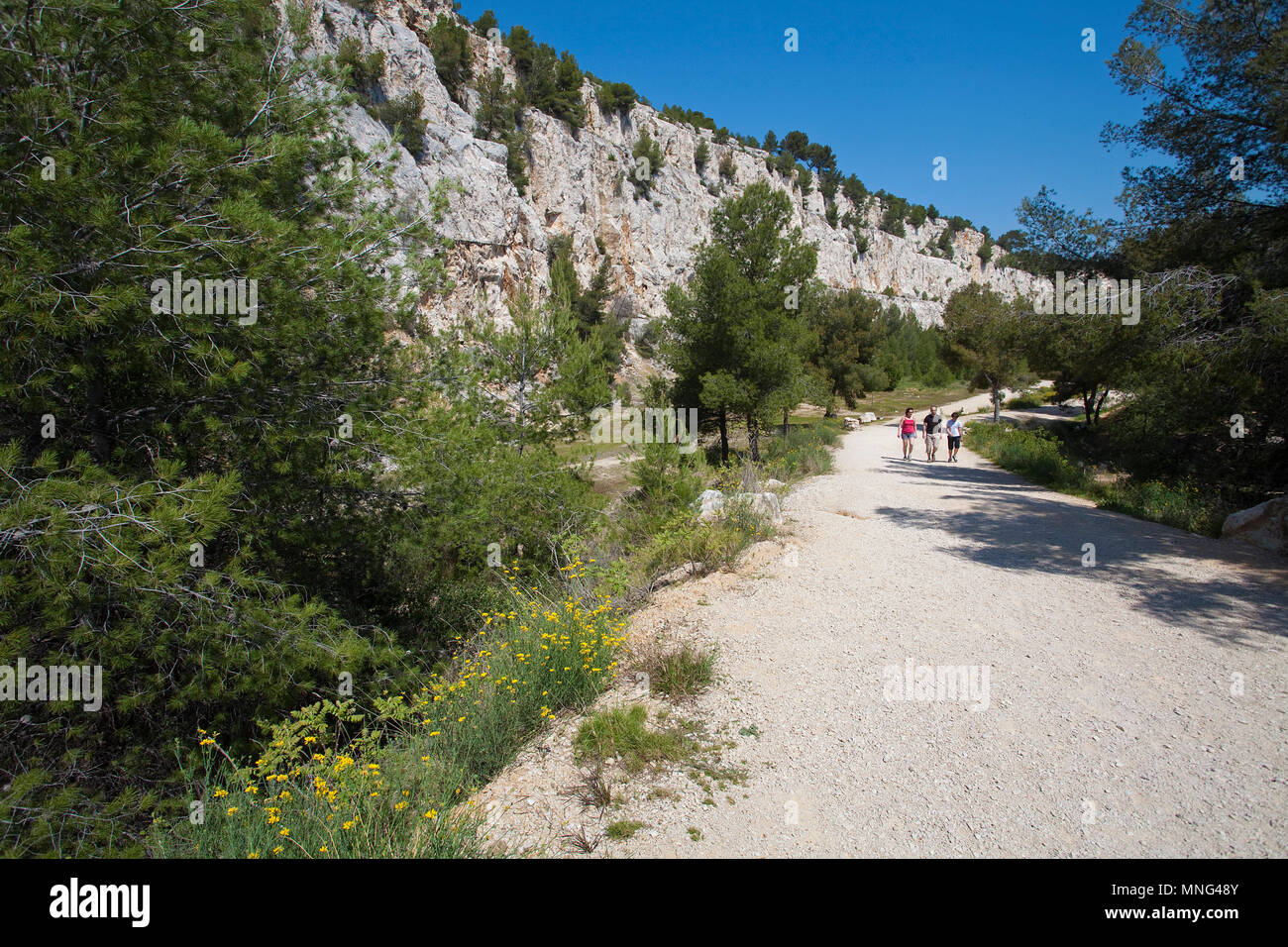 Sentiero lungo le Calanques, Bouches-du-Rhone, Côte d'Azur, in Francia del Sud, Francia, Europa Foto Stock