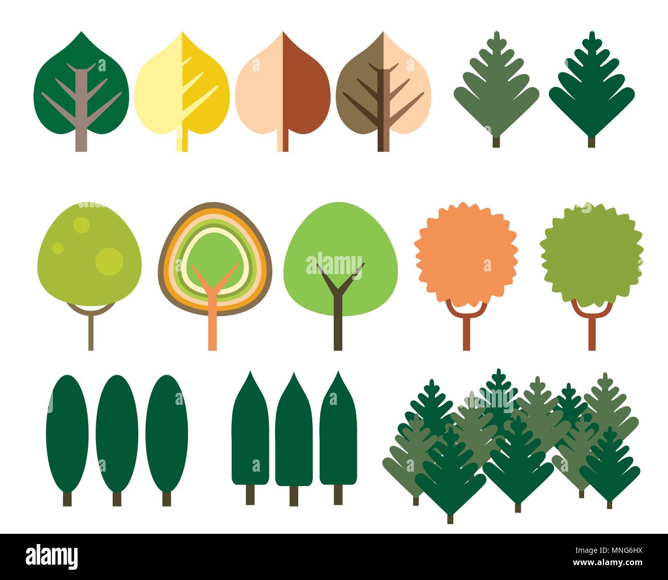 Set di design piatto di conifere e latifoglie di diverse specie, isolati su sfondo bianco - vettore Illustrazione Vettoriale Set di design piatto di conifere e latifoglie di diverse specie, isolati su sfondo bianco - vettore Illustrazione Vettoriale