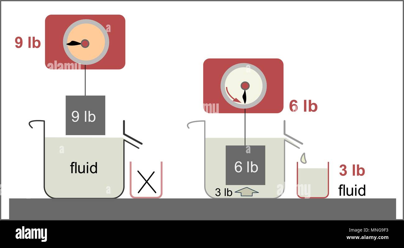 Principio di Archimede come legge della fisica fondamentale per la meccanica dei fluidi Illustrazione Vettoriale