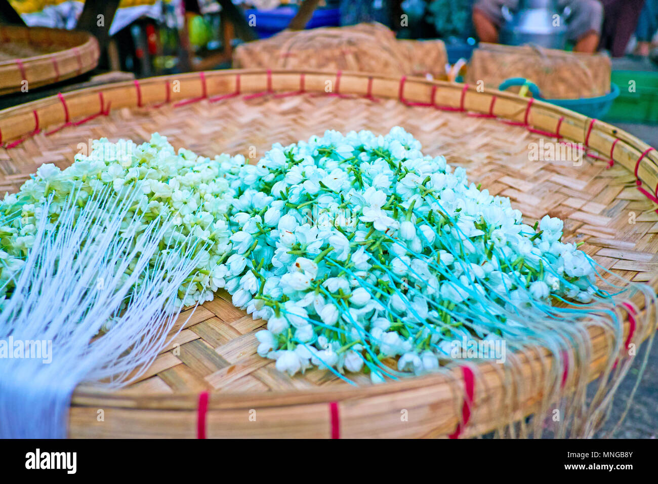 Il White Jasmine ghirlande (tradizionale offerta in rituali religiosi) sul tessuto vassoio di Palm in stallo del mercato accanto al tempio indù di Little India Foto Stock