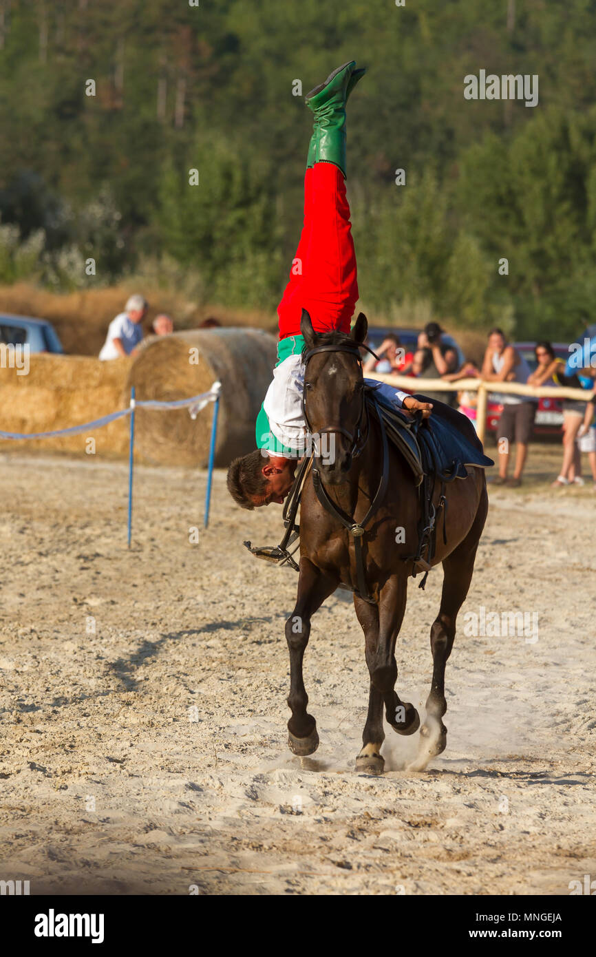 Tradizionale ungherese cavallo mostra in un piccolo villaggio Vonyarcvashegy, 18. 08. 2013 Ungheria Foto Stock