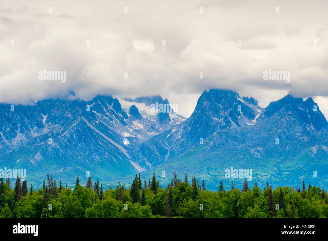 Nuvole passate con il mouse sopra le cime di Alaska Talkeetna della montagna. Estate lussureggianti alberi verdi e spazzola in primo piano. Foto Stock