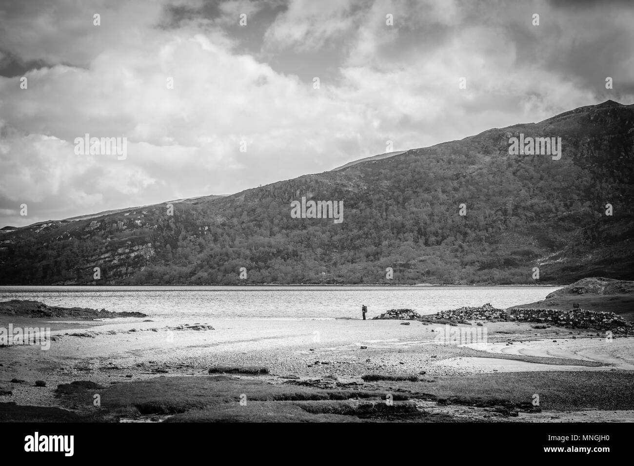 Le rovine del castello di Ardvreck, Loch Assynt, un antico castello lochside, ex casa del MacLeod lairds di Assynt, Lairg, Scotland, Regno Unito Foto Stock