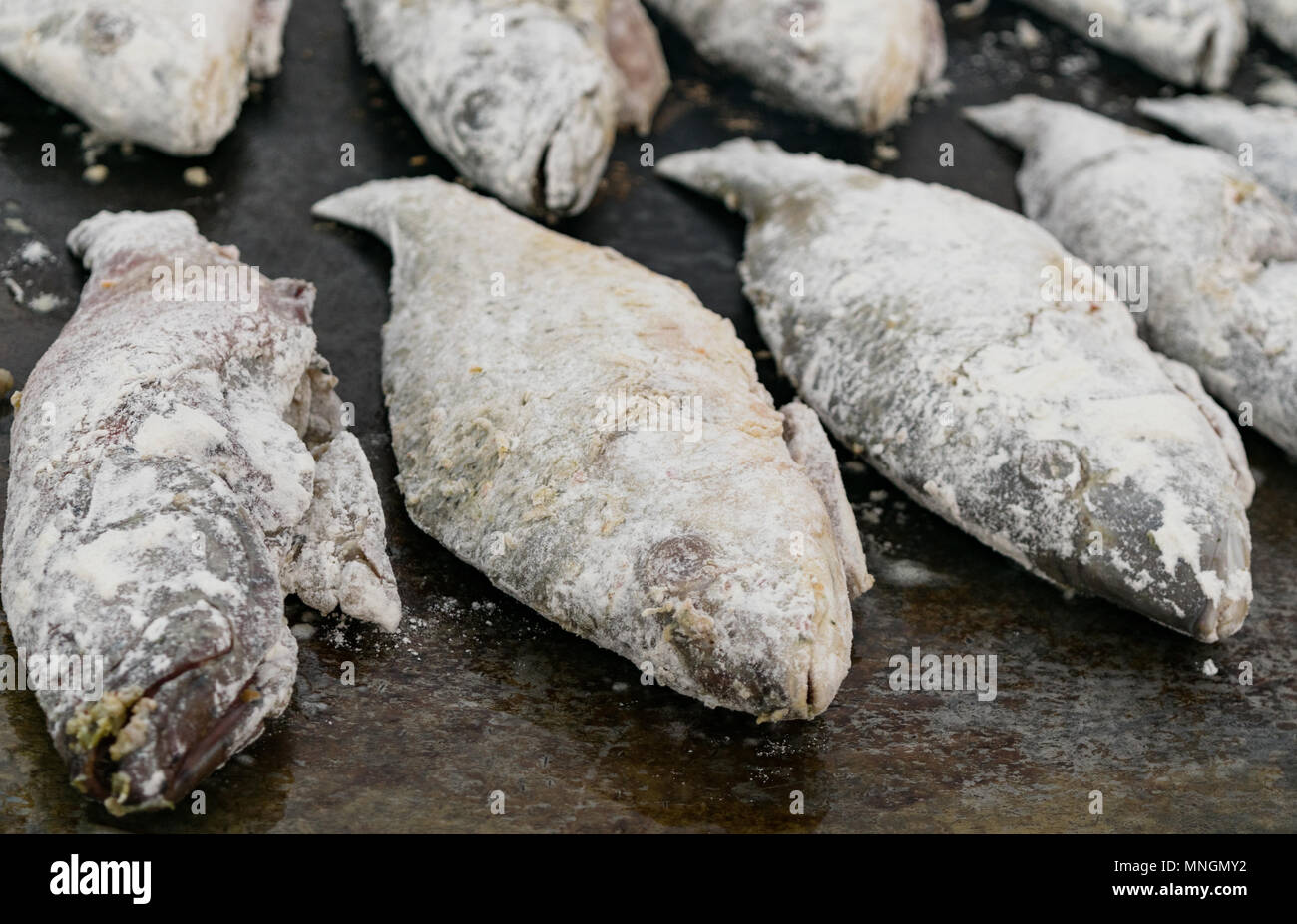 Roach pesce cosparsa di farina - Pronto per friggere. Foto Stock