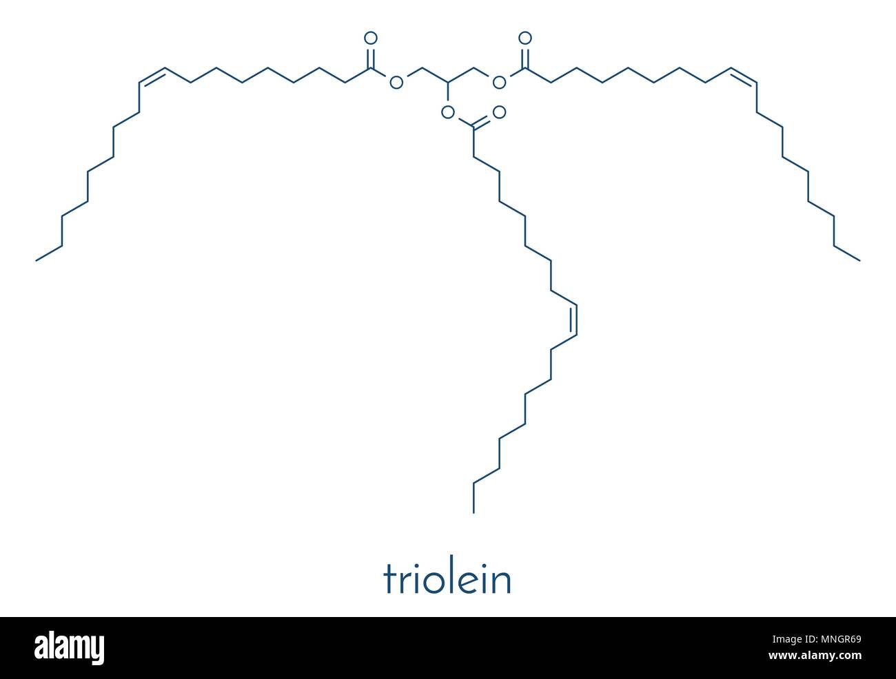 Olio di oliva trigliceride (gliceril trioleato, trioleina). Esempio di un olio trigliceride, contenente 3 acido oleico frazioni. Formula di scheletro. Illustrazione Vettoriale
