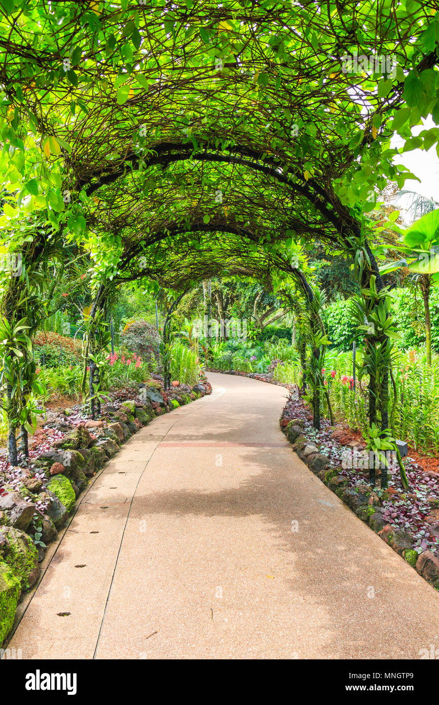 Orchid Garden a Singapore Botanic Gardens Foto Stock