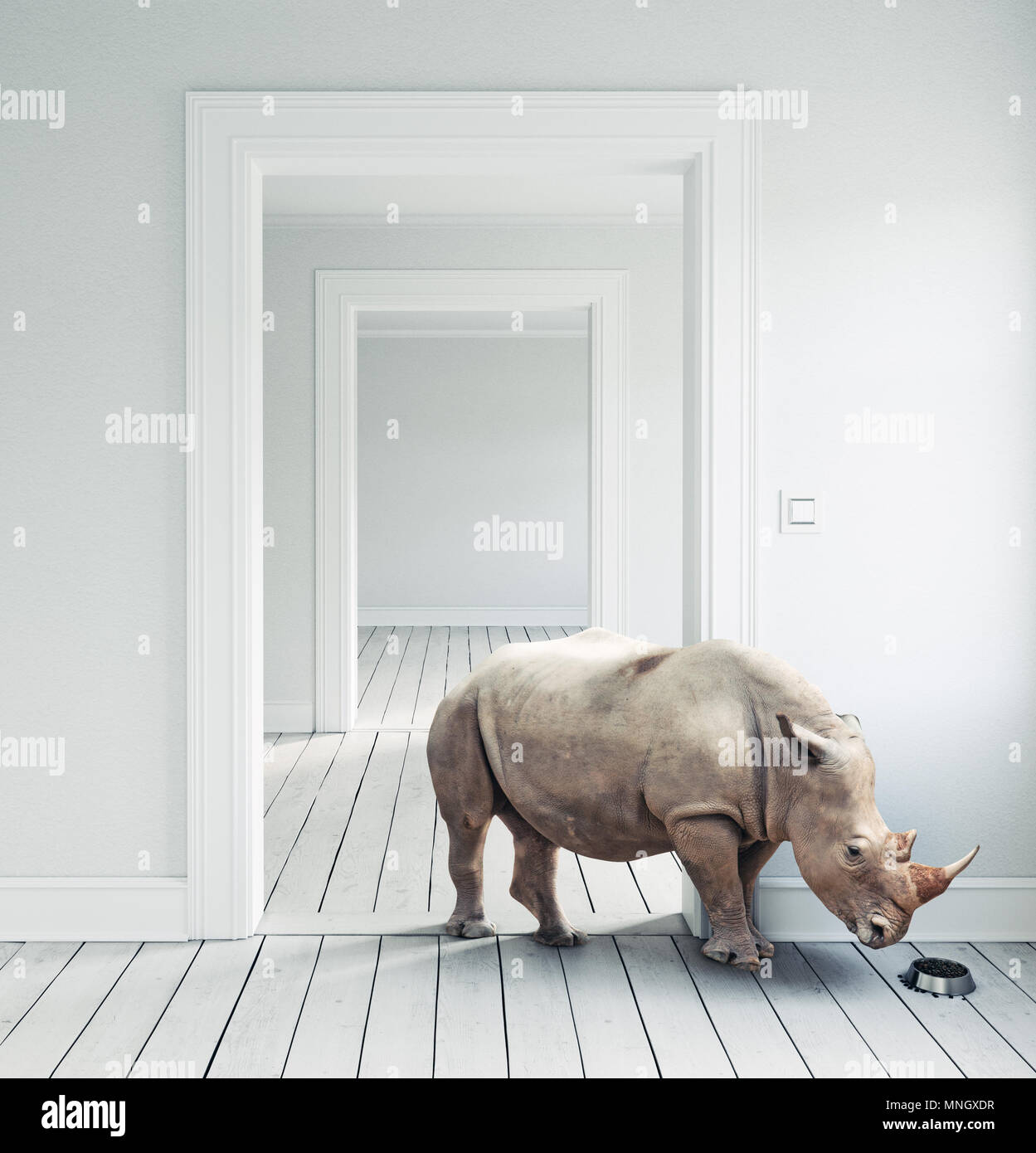 Rhino in camera come un animale domestico. CG e combinazione di foto Foto Stock