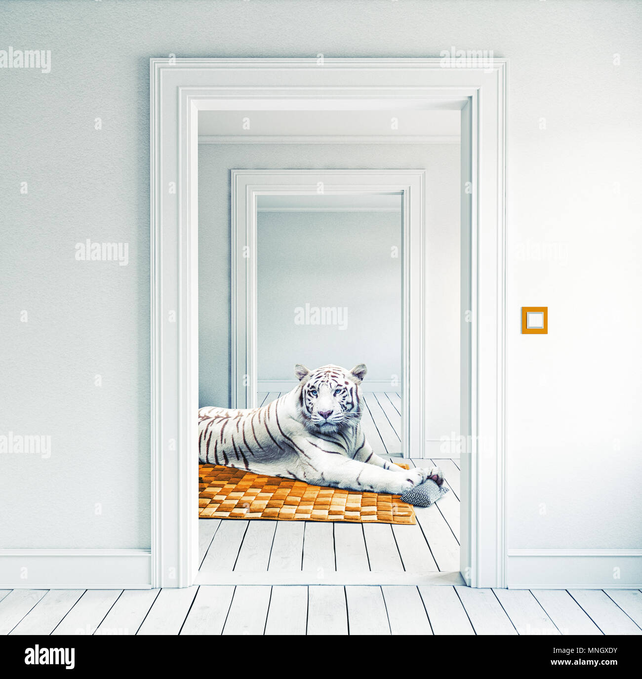 La tigre bianca sul tappeto arancione in camera. Photocombination concetto creativo Foto Stock