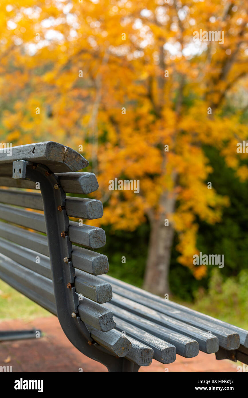 Un parco benh con i colori dell'autunno cadono in background in Mount Lofty Sud Australia Foto Stock