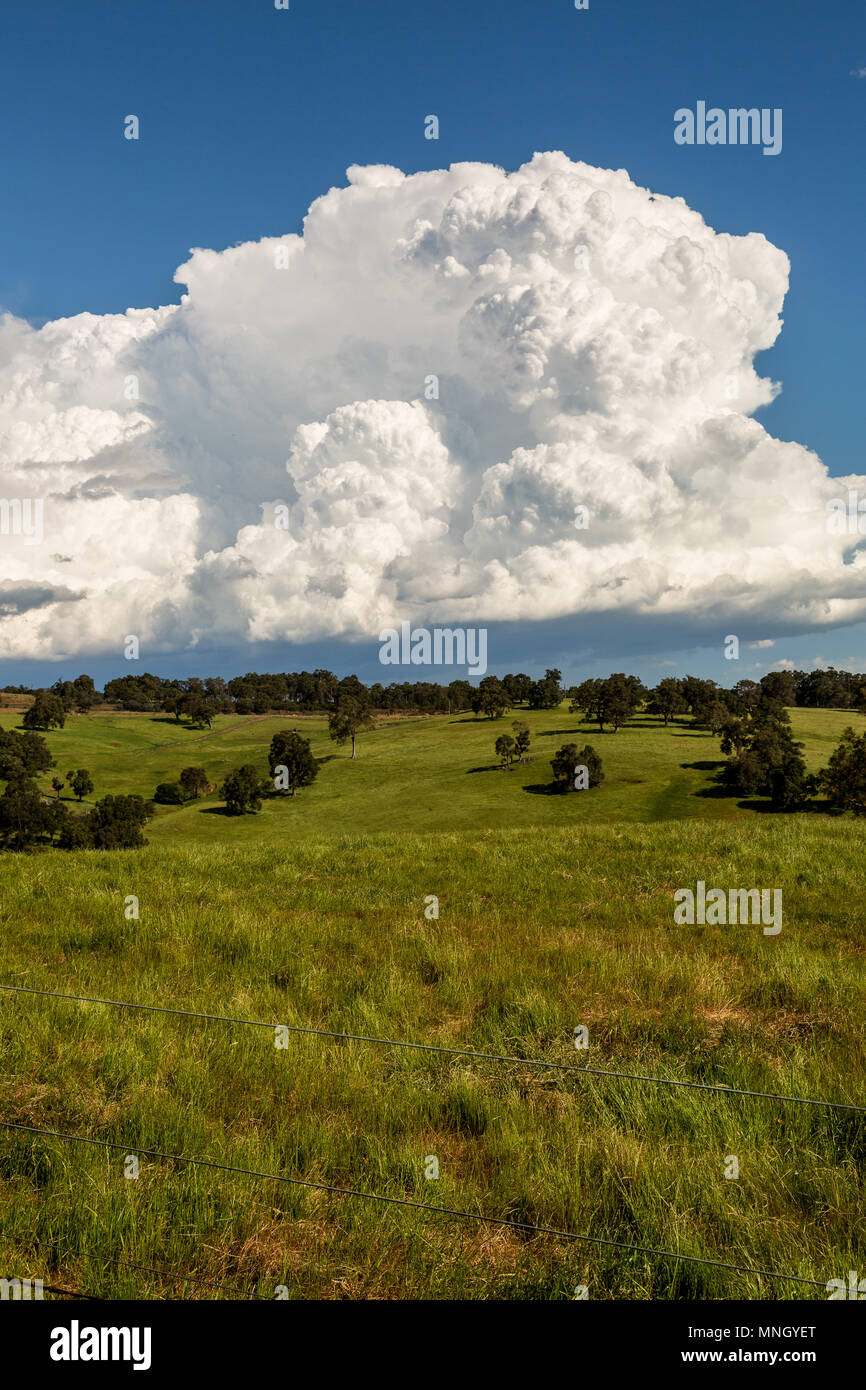 Nuvole temporalesche su terreni agricoli Australia Occidentale Foto Stock