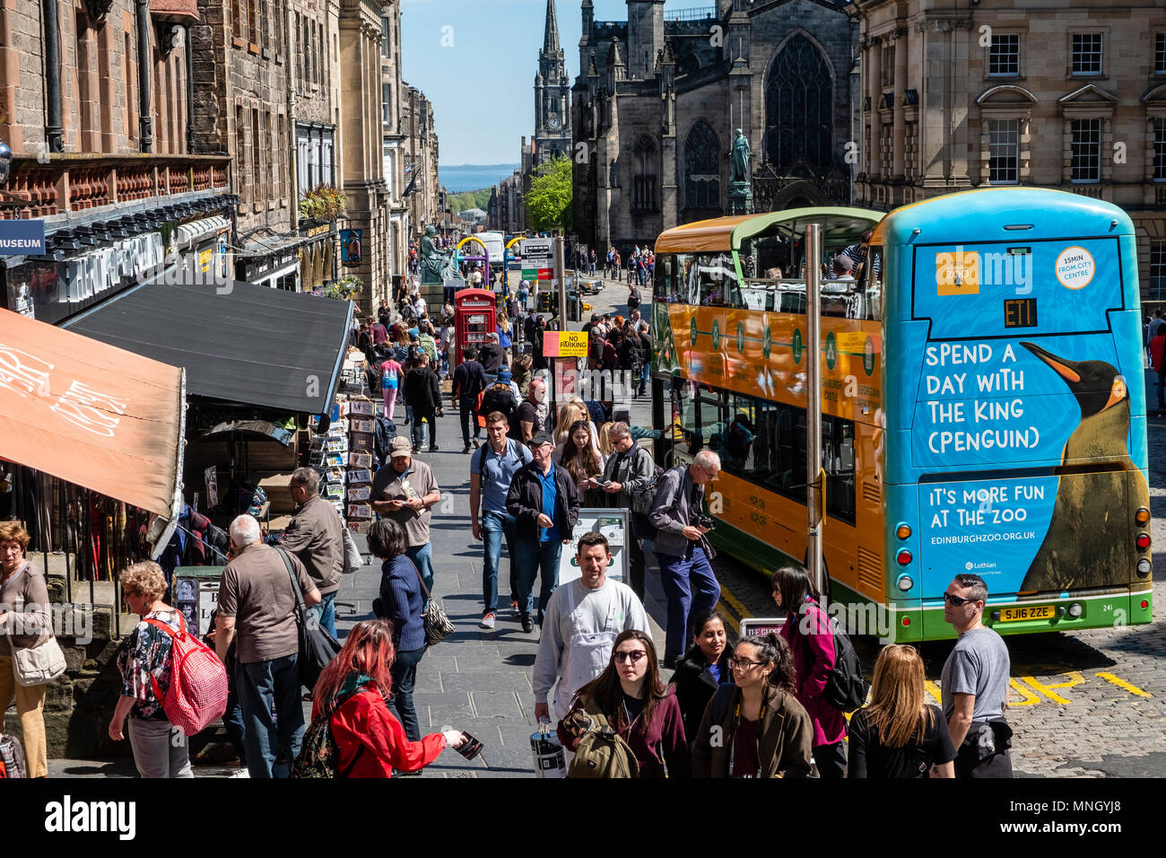 Vista lungo il Royal Mile con molti turisti e tour bus nel centro storico di Edimburgo, Scozia, Regno Unito Foto Stock