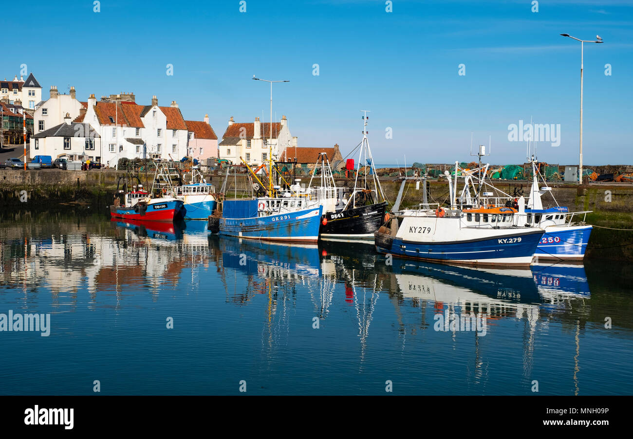 Porto di pescatori con molte barche da pesca a Pittenweem in East Neuk di Fife, Scozia, Regno Unito Foto Stock