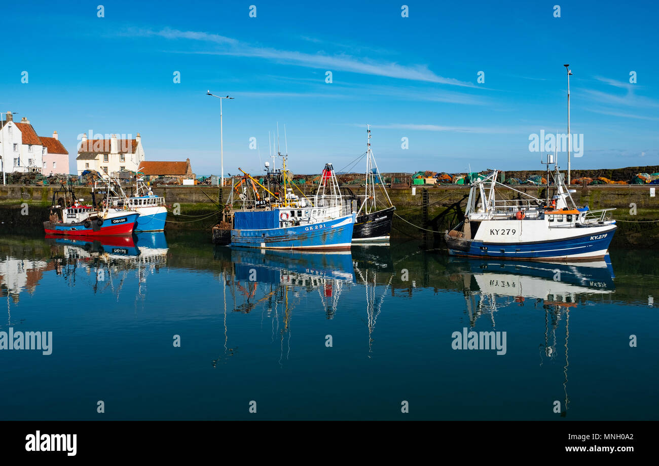 Porto di pescatori con molte barche da pesca a Pittenweem in East Neuk di Fife, Scozia, Regno Unito Foto Stock