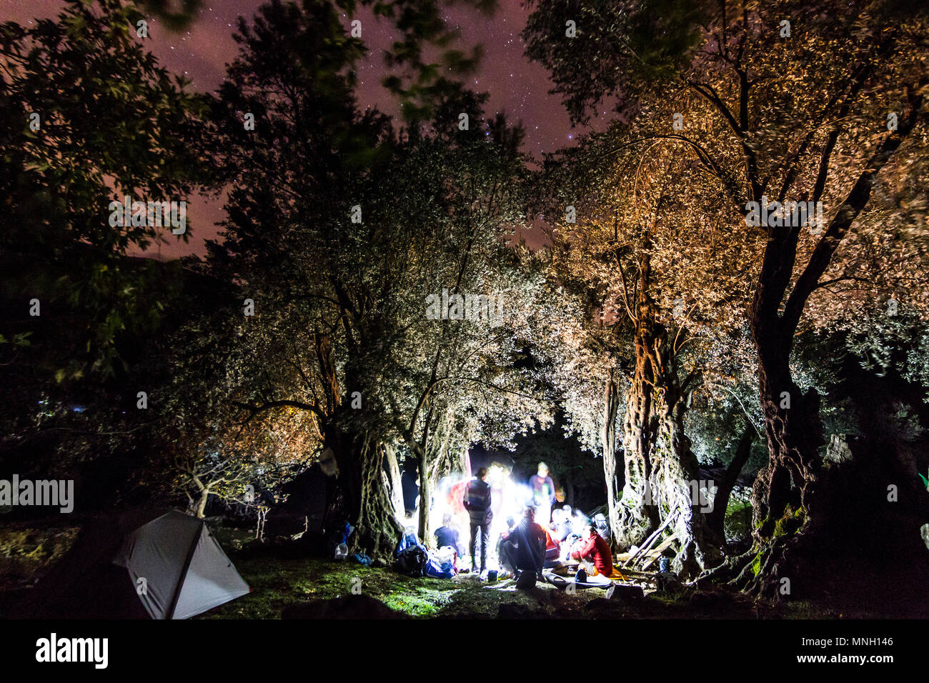 Forest evidenziata con il falò di notte con le stelle su sky Foto Stock