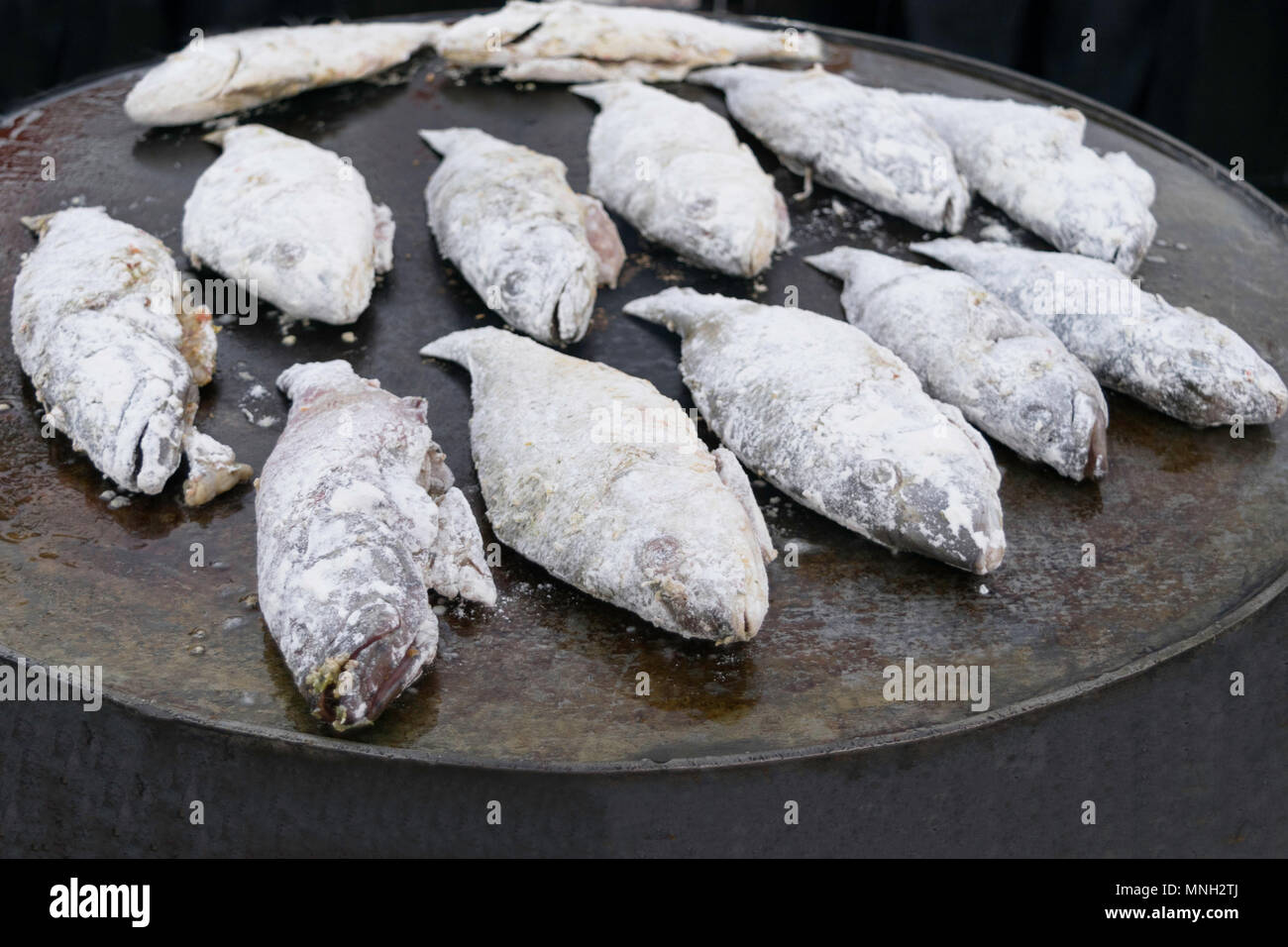 Roach pesce cosparsa di farina - Pronto per friggere. Foto Stock