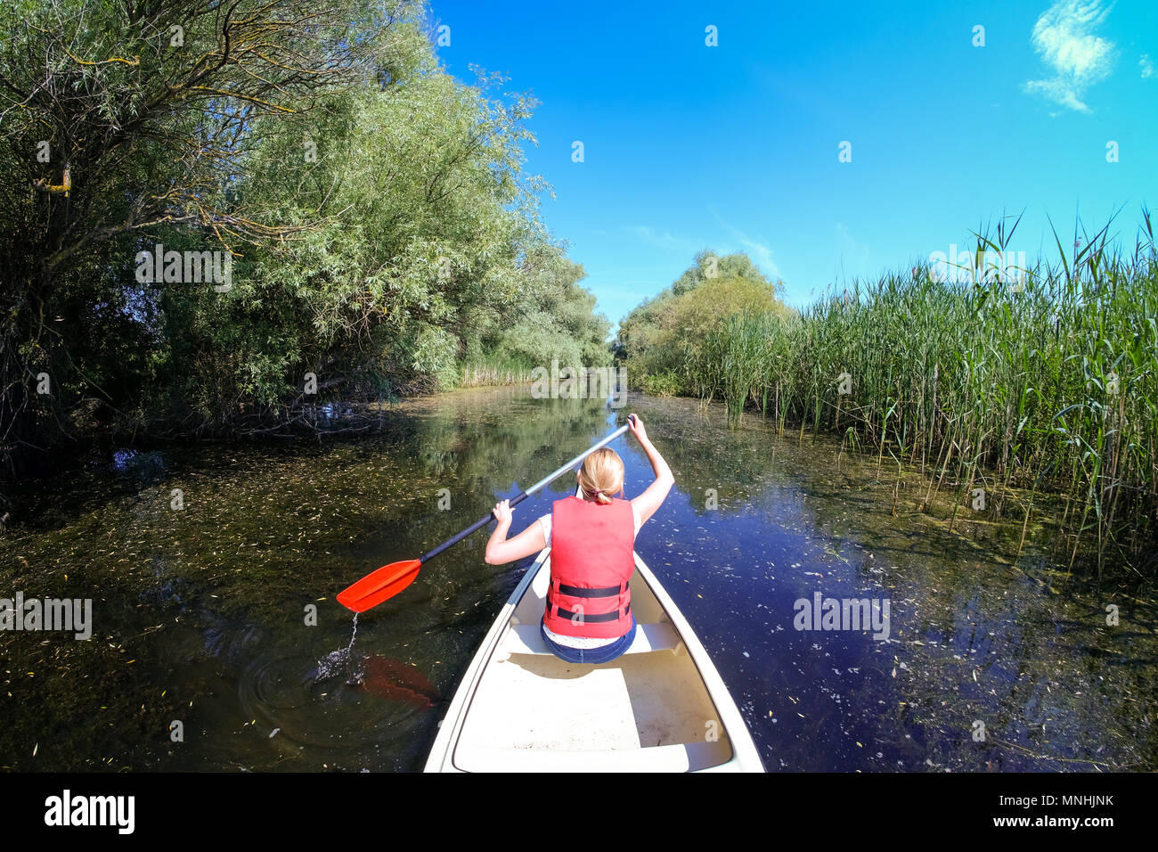 Canoa in Delta Dunarii Romania Foto Stock