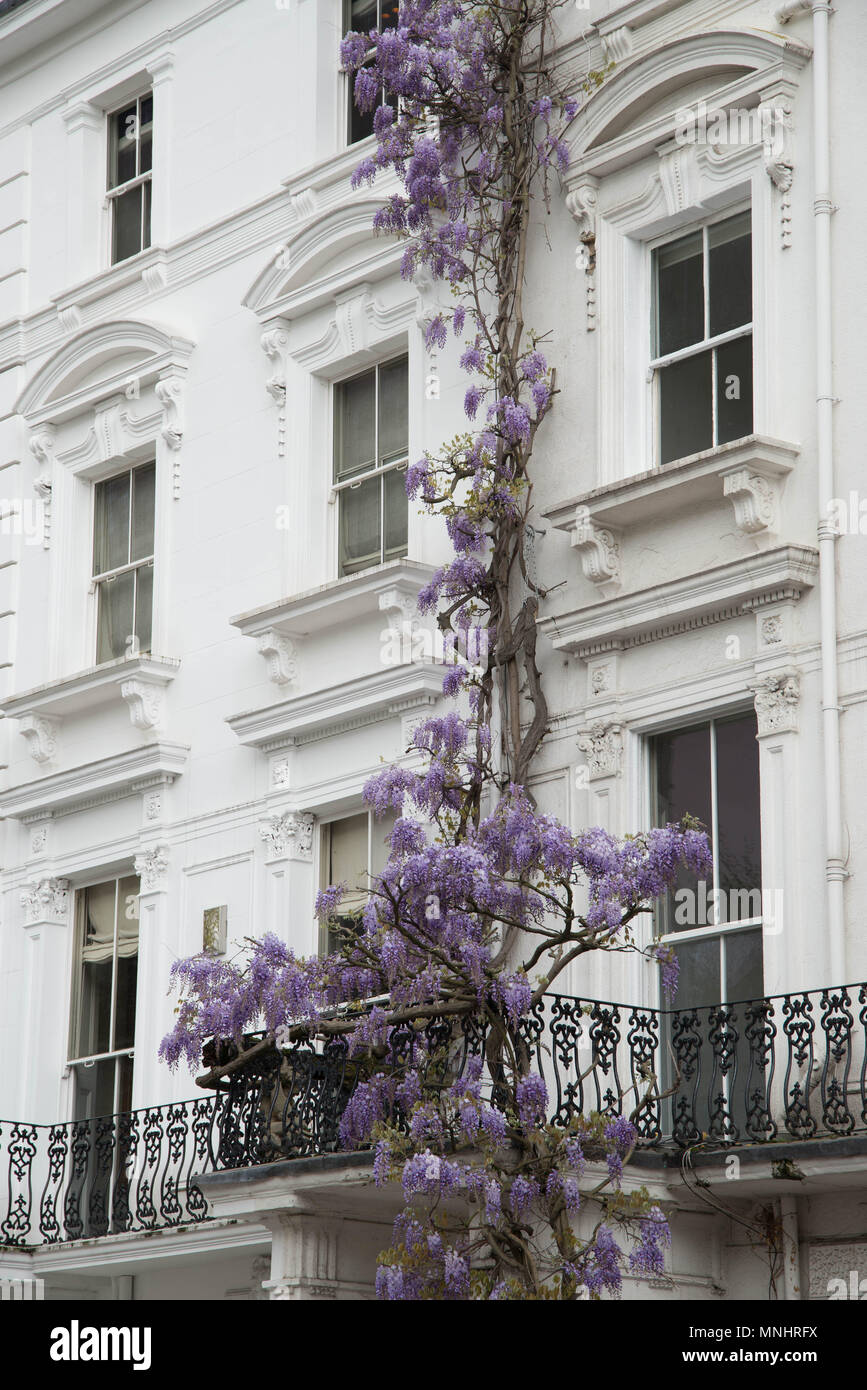 Casa a Notting Hill Foto Stock