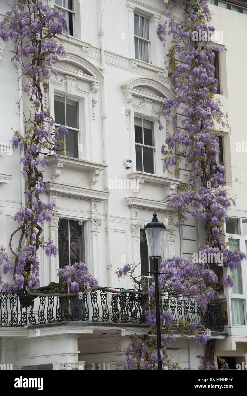 Casa a Notting Hill Foto Stock