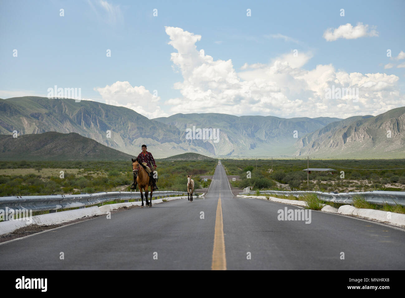 Vista anteriore dell'uomo a cavallo lungo la strada con le montagne sullo sfondo, Durango, Messico Foto Stock