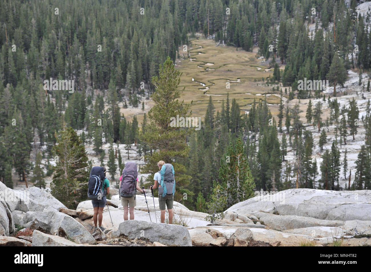 Backpackers escursione verso il basso nella valle del ghiacciaio dal lago di gallo forcello passare su una di due settimane trek della Sierra Alta Via in Kings Canyon National Park in California. Il 200-miglio percorso circa parallels il famoso John Muir Trail attraverso la Sierra Nevada gamma di California dal Kings Canyon National Park Parco Nazionale di Yosemite. Foto Stock