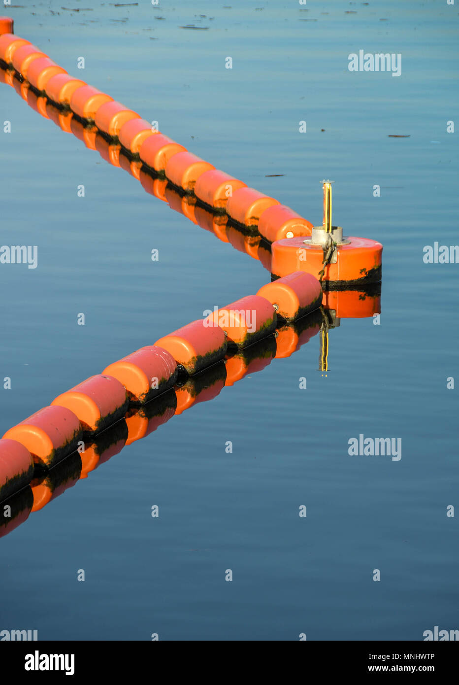Arancio brillante galleggianti in inizio di mattina di luce. Essi formano una barriera protettiva in Cardiff Bay per tenere le barche lontano dalle paratoie sul barrage Foto Stock
