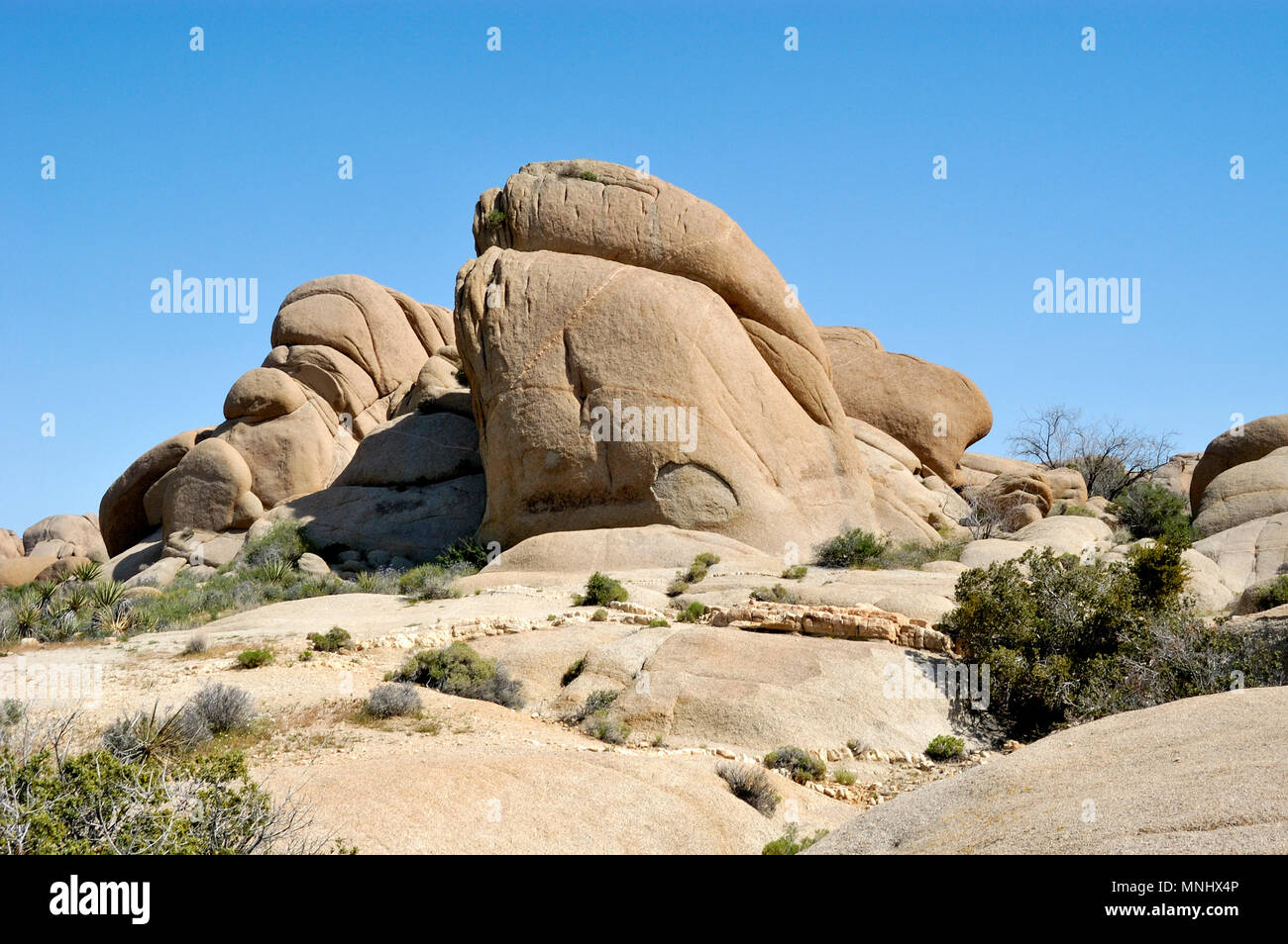 Faccia indiano Rock, rock Monzogranite pila, Aplitic vene, Jumbo Rocks, Joshua Tree National Park, CA 040410 0701 Foto Stock