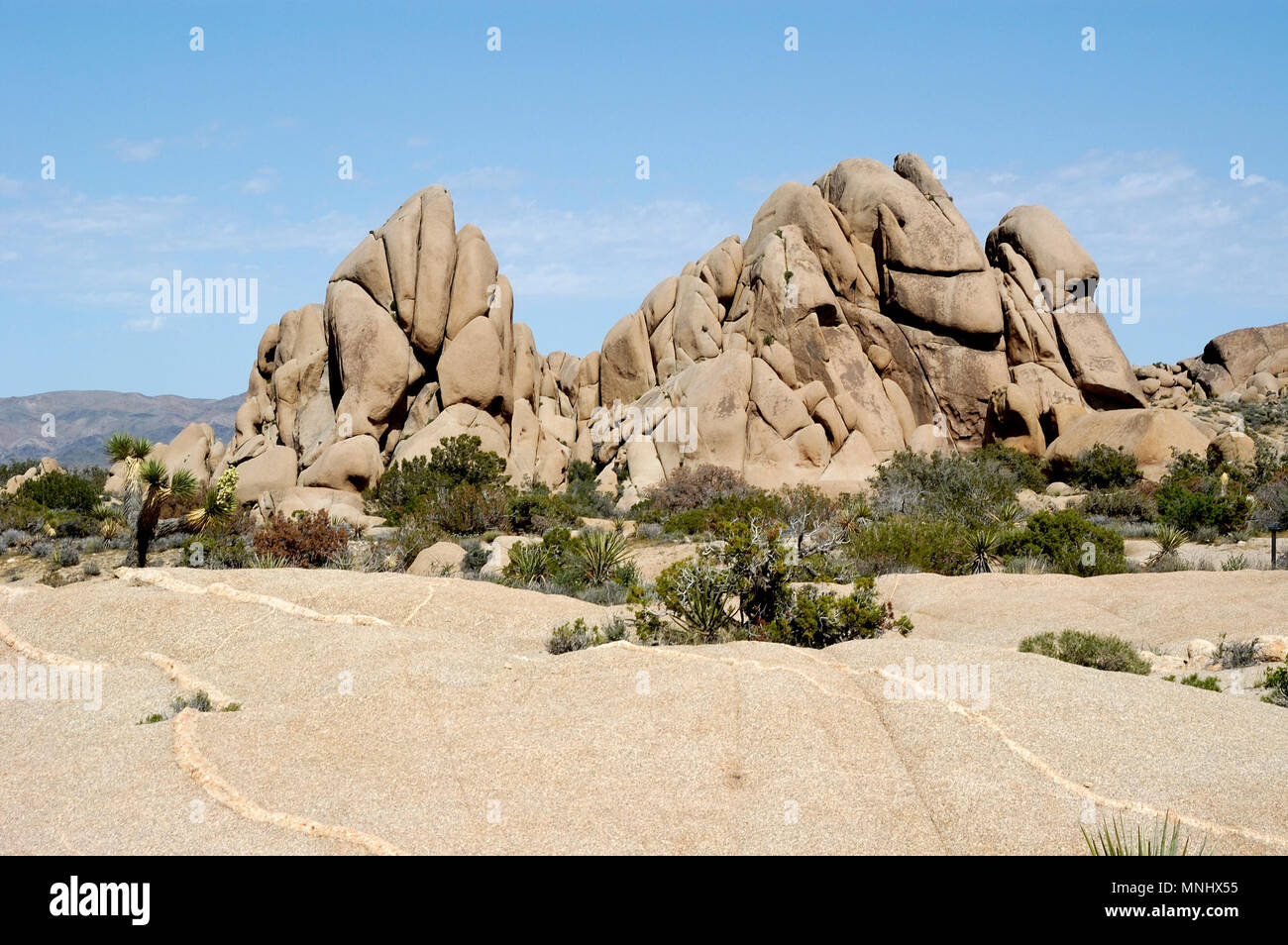 Monzogranite pila di rocce, Aplitic vene, Jumbo Rocks, Joshua Tree National Park, CA 040410 0702 Foto Stock