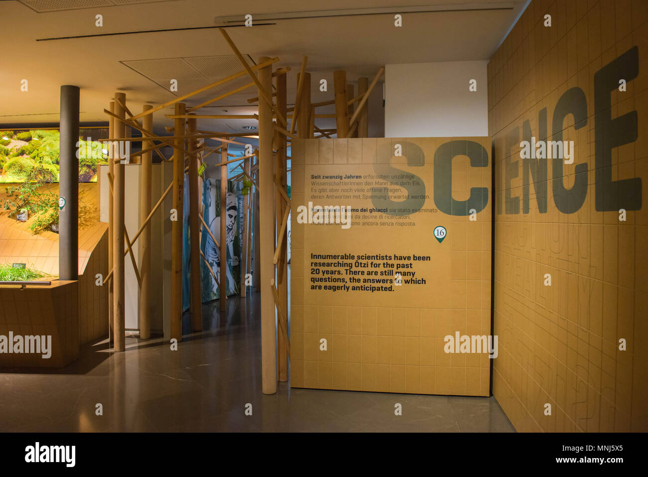 Bolzano. Sud Tirolo Museo di Archeologia. L'Italia. Foto Stock