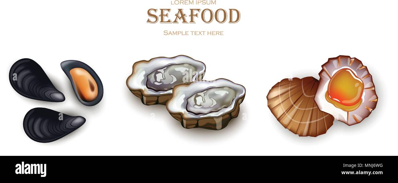 Cozze, ostriche e frutti di mare scaloppina al vettore. Realistico tridimensionale dettagliata illustrazione insieme Illustrazione Vettoriale