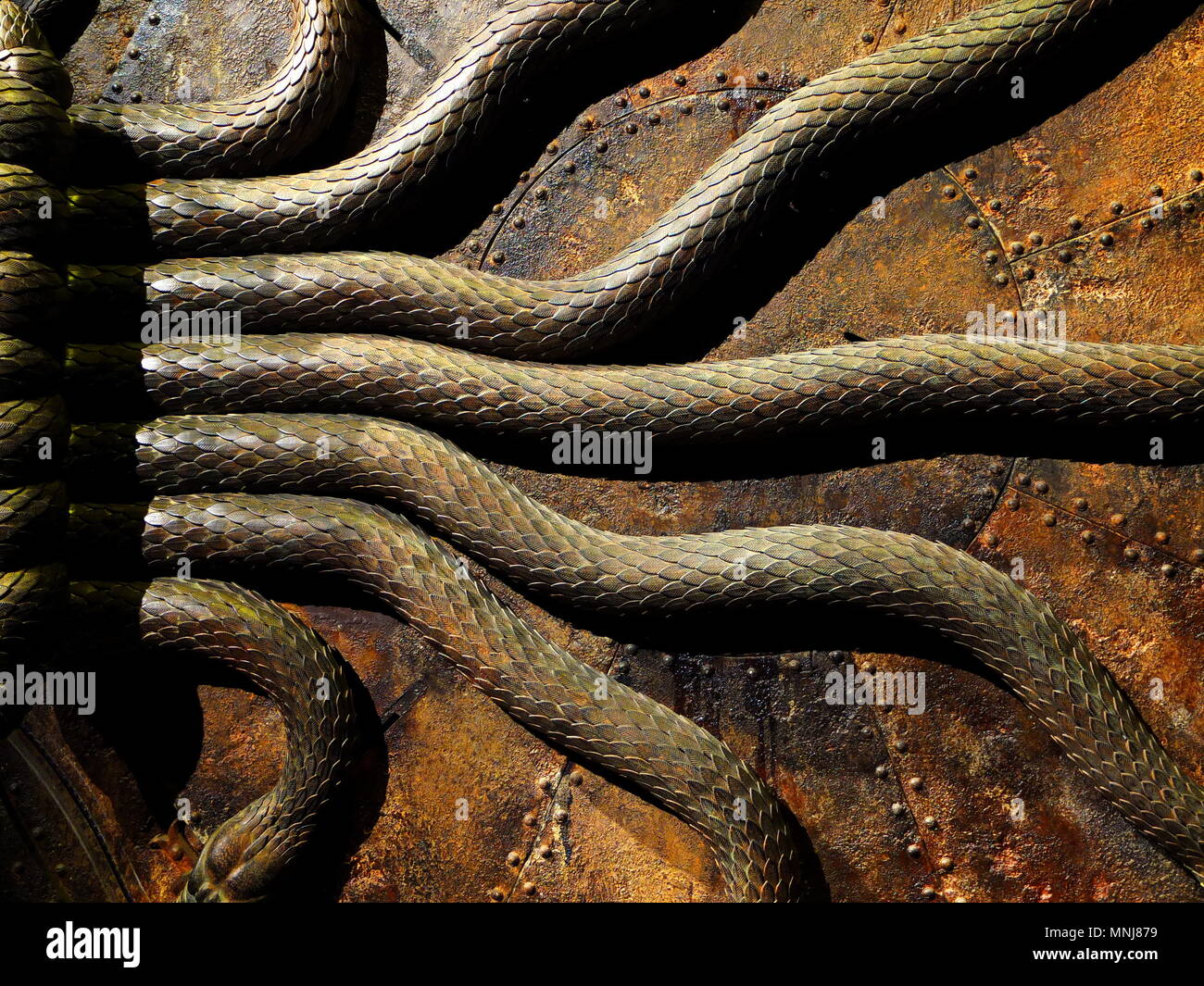 Dettaglio del serpente porta da Harry Potter camera dei segreti, Warner Bros Studios, Leavesdon, REGNO UNITO Foto Stock