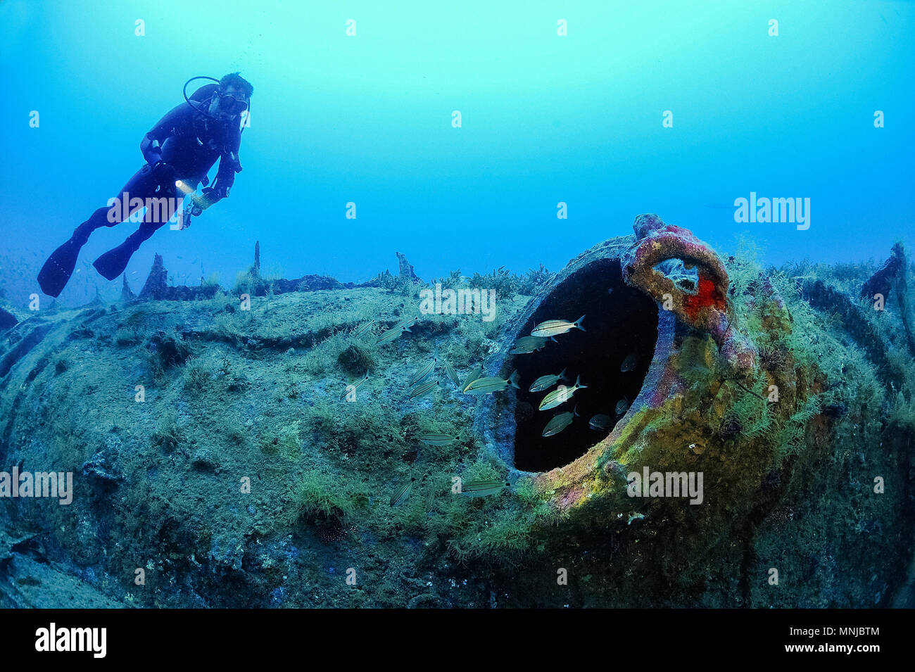 Scuba Diver, cercando in una botola di evacuazione di U-boat tedesca U-352, North Carolina, Stati Uniti d'America, Oceano Atlantico, signor Foto Stock