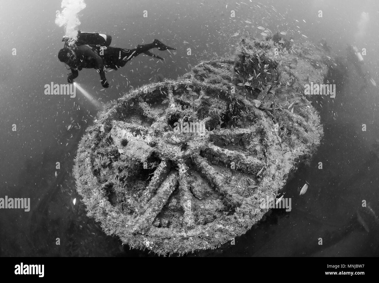 Scuba Diver, esplorando l'Atlas naufragio, North Carolina, Stati Uniti d'America, Oceano Atlantico Foto Stock
