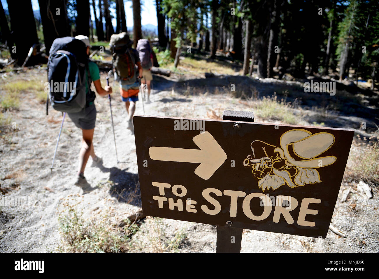 Backpackers escursione attraverso Boundary Creek masterizzare zona nei pressi di Mammoth Lakes sul trekking della Sierra alta via nella Foresta Nazionale di Inyo, CALIFORNIA, STATI UNITI D'AMERICA Foto Stock