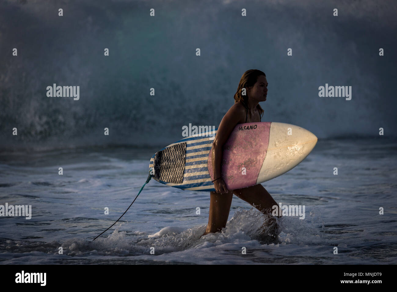 Surfista femmina camminando in oceano e trasportare le tavole da surf, Oahu, isole Hawaii, STATI UNITI D'AMERICA Foto Stock
